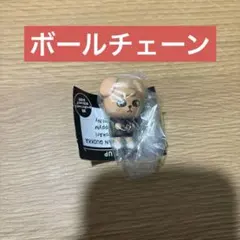 SKZOO つまんでつなげてますこっと でらっくす！パピーム　スンミン