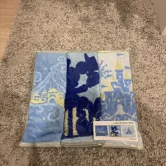 バケーションパッケージ限定 東京ディズニーキャラクタータオル 3枚セット 青系