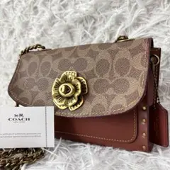 希少 COACHコーチ ミニキャンディエキゾチックシグネチャーショルダー 