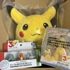 ポケットモンスター ポケモン30周年記念 おかえりピカチュウ1/1 ピカセット