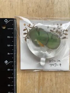 Item thumbnail for item 7a7dffec-fb66-4a12-bff5-590f6251418d