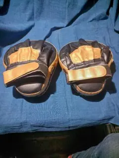 TRAN パンチングミット 14oz ゴールド/ブラック