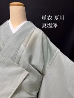 単衣夏用　夏塩澤紬　やまだ織　証紙付　逸品　トールサイズ　身丈164 (カ) 単衣夏用 夏塩澤紬 やまだ織 証紙付 逸品 トールサイズ 身丈164 (カ