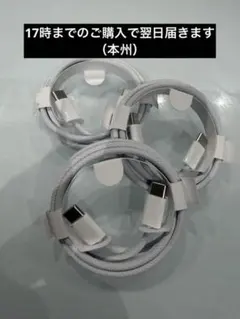 【純正新品】最新iPhone純正タイプCtoCケーブル　3本セット
