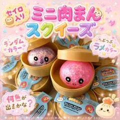 【新品】せいろ型　肉まんスクイーズ　ランダムカラー　つぶつぶ入り　ラメ　蒸し饅頭