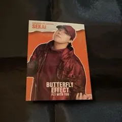 世界　フォトカード　シクレ　BUTTERFLY EFFECT　レア　ファンタ