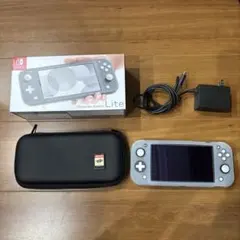 Nintendo Switch Lite グレー 充電器 ケース付き