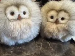 ね*こ様 【2点セット】モンスイユ　ルイーズ フクロウぬいぐるみ　ふわふわ　ボア ね*こ様 【2点セット】モンスイユ ルイーズ フクロウぬいぐるみ