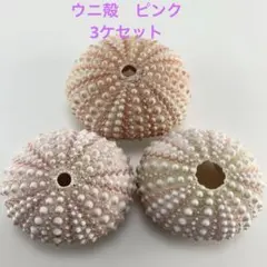 Item thumbnail for item 90a098f8-6e05-415c-805e-8e6c2f65ed36