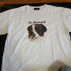 Item thumbnail for item 2bfa6903-8745-4e77-bccd-ea89e5a3f030