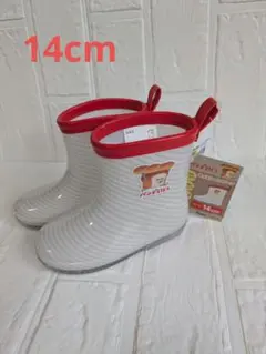 Item thumbnail for item f10e66b5-5ce9-469a-a7bf-2f34769f44d8