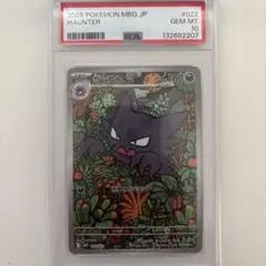 PAS10】ゴースト（AR仕様）S-TD022/021