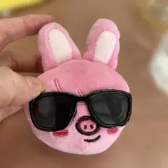 ランダムフェイスキーリング