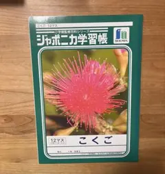 ジャポニカ学習帳 国語 こくご ノート 12マス