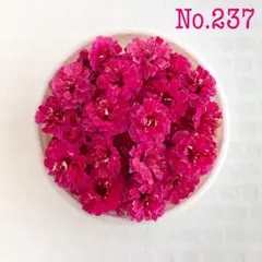 naotaro様 リクエスト 3点 まとめ商品