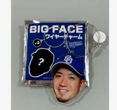 Item thumbnail for item a9165f23-dfd4-4605-b569-31a8d2b4d85b