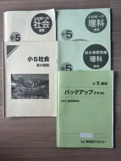 早稲田アカデミー 小5 夏期講習会 テキスト 4冊セット - メルカリ