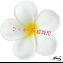 フィオーナ様専用　ミニチュア