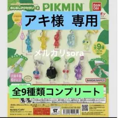 アキ様 リクエスト 2点 まとめ商品