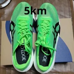 Item thumbnail for item 5ffa3204-5ebc-4f33-88e8-fa26b4611d2e