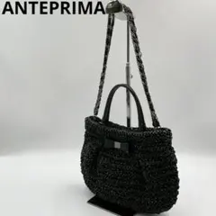 美品　アンテプリマ　クリスタッロフィオッコ　ワイヤーバッグ　2way ブラック