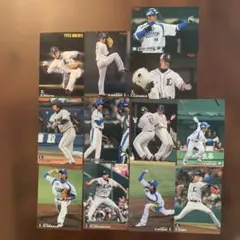 カルビープロ野球カード 2007-11年 埼玉西武ライオンズ12枚