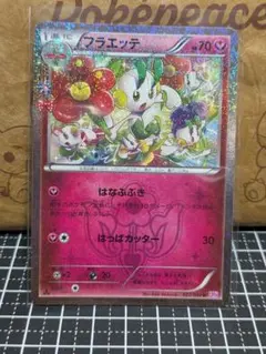 フラエッテ フラベベ ポケキュン - メルカリ