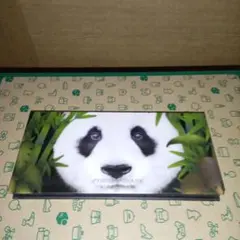 PERFECT DIARY ☆アイシャドウパレット