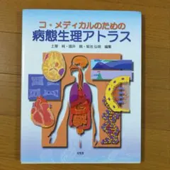 Item thumbnail for item 2e594704-e7ae-459d-86bc-821bf0b24e6c