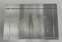 Item thumbnail for item 97536b51-6660-47ec-accc-cfa1cb7ecd2f