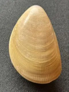 はっちゃん様 リクエスト 10点 まとめ商品