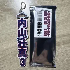 東京ヤクルトスワローズ 内山壮真 アクリルキーホルダー