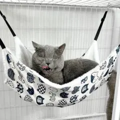 Item thumbnail for item 4c746b73-6166-476e-b025-073fb861d3be