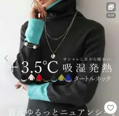 antiqua アンティカ 発熱 ハイネック リブ ニット Ｌ〜XＬ大きいサイズ