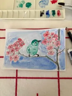 さくらんぼ 手描き水彩画 原画 ポストカード 1枚 - メルカリ