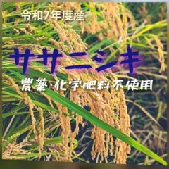 兵庫県丹波市産！ 令和7年産 農薬不使用 コシヒカリ玄米29kg - メルカリ