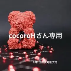 cocoroHさん専用