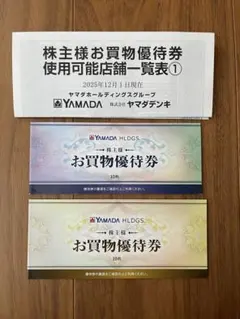 ヤマダ電機　お買物優待券10000円分 （使用期限注意）