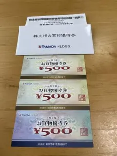 YAMADA HDGS. お買物優待券 3枚セット ¥500