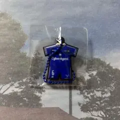 FC町田ゼルビア 望月ヘンリー海輝選手　ラバーユニフォームキーホルダー　1st