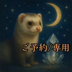 アン様専用⭐︎