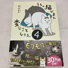 Item thumbnail for item 86699b50-4baf-4a00-afdb-07f86d31b4d8