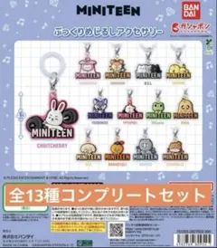 Miniteen ぷっくりめじるしアクセサリー コンプリート(全13種セット)