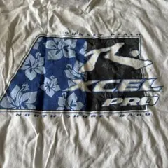 Item thumbnail for item 91fb2085-88ba-43c0-a21c-0a2f16f908d8