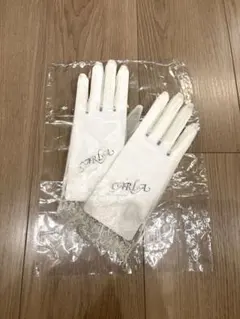 Item thumbnail for item a0b7903e-7735-41e0-90cc-e3e466221dd7