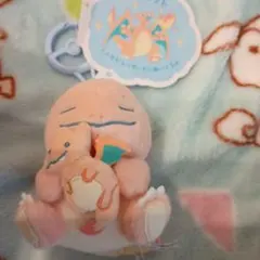 ポケモンLittle Daydream ヒトカゲぬいぐるみ