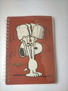 Item thumbnail for item 07dc1336-cdb6-4d00-a79a-4d4af748f79e