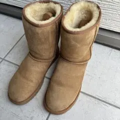 Item thumbnail for item 583f05e6-6586-49e3-9fcb-473e07d74147