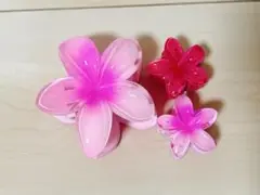 ハイビスカス　クリップ