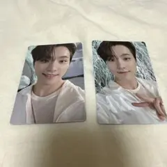 sector17 SEVENTEEN トレカ　ディノ